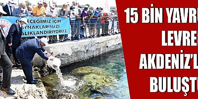 15 bin yavru levrek Akdeniz'le buluştu