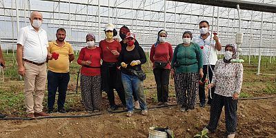 15 Ekim Dünya Kadın Çiftçiler Günü kutlandı