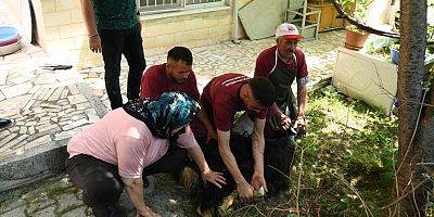 174 vatandaşın evlerine gidilerek, kurban kesim hizmeti verildi