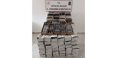 2 bin 500 adet kaçak güneş gözlüğü ele geçirildi