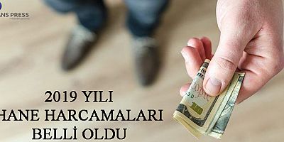 2019 yılı hane harcamaları belli oldu