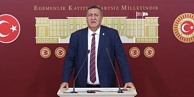 2019 yılında 39 ton altın üretildi