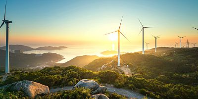 2030'a kadar her yıl 505 GW rüzgar enerjisi kurulmalı