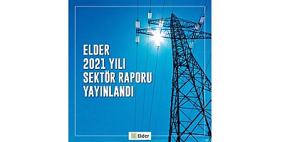 21 elektrik dağıtım şirketi