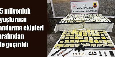 25 milyonluk uyuşturucu Jandarma ekipleri tarafından ele geçirildi