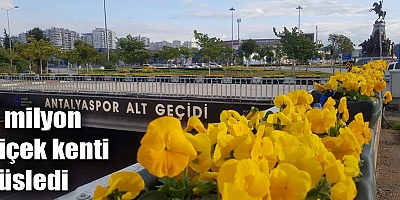 3 milyon çiçek kenti süsledi