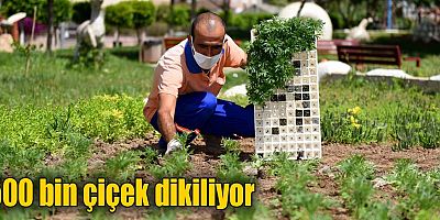 500 bin çiçek dikiliyor