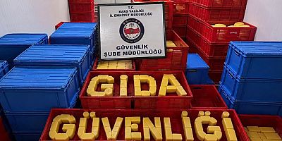 81 ilde 