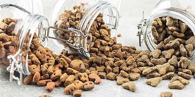 91 ülkedeki patili dostların maması Türkiye’den