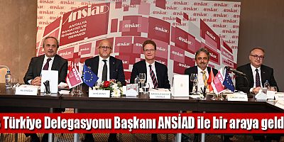 AB Türkiye Delegasyonu Başkanı ANSİAD ile bir araya geldi