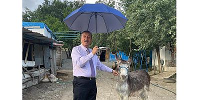 eşekli zam eleştirisi