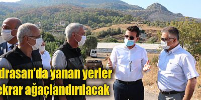 Adrasan'da yanan yerler tekrar ağaçlandırılacak