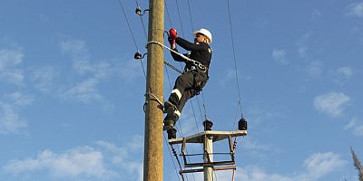 AEDAŞ, Vatandaşları Elektrik Şebekelerine Müdahale Edilmemesi Konusunda Uyardı