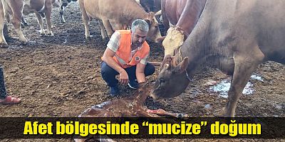 Afet bölgesinde “mucize” doğum