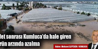 Afet sonrası Kumluca'da hale giren ürün arzında azalma