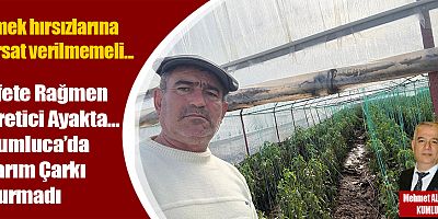 Afete Rağmen Üretici Ayakta… Kumluca’da Tarım Çarkı Durmadı