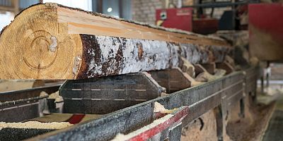 Ağaç işleme makinesi sektörü rekora doymuyor