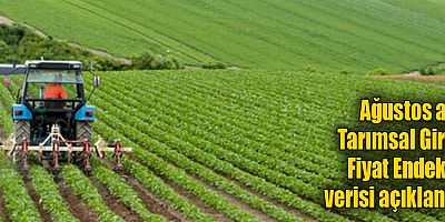 Ağustos ayı Tarımsal Girdi Fiyat Endeksi verisi açıklandı