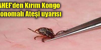 AHEF'den Kırım Kongo Konomalı Ateşi uyarısı
