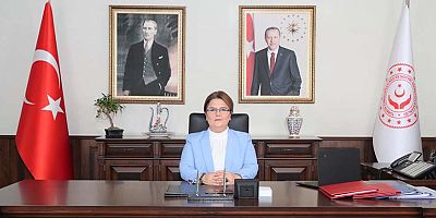 Aile ve Sosyal Hizmetler Enstitüsü Kuruluyor