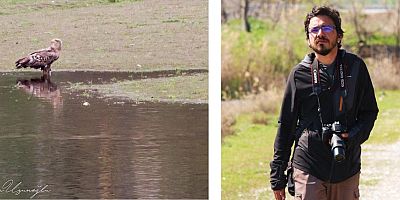 Ak Kuyruklu Kartal Denizli’de Görüntülendi