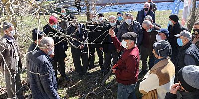 Akseki’de çiftçiye budama eğitimi verildi