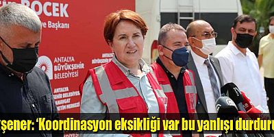Akşener ‘Koordinasyon eksikliği var bu yanlışı durdurun’