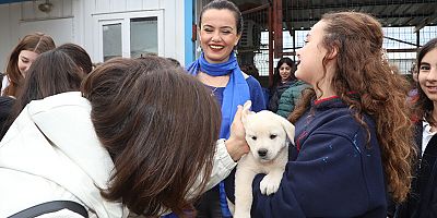 Aksu Belediyesi'nden can dostlara şefkat dolu hizmet