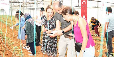 Aksu'da faydalı böcek salımı yapıldı