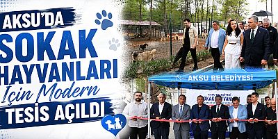 Aksu’da Sokak Hayvanları İçin Modern Tesis Açıldı