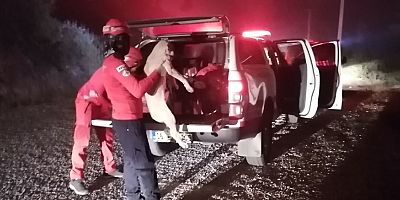 AKUT, Akdeniz yangınında 251 cana destek oldu