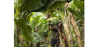 Alanya Belediyesi 16. Ulusal Fotoğraf Yarışması sonuçları açıklandı