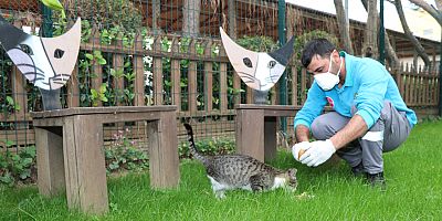 Alanya Belediyesi can dostlarını unutmadı