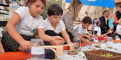 Alanya Belediyesi, Eko-Okullar ve Mavi Bayraklı Tesislerle zeytin kurma etkinliği gerçekleştirdi