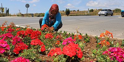 Alanya Belediyesi kenti çiçek bahçesine dönüştürüyor