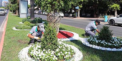 Alanya Belediyesi'nden yeşil alanlarda yoğun mesai