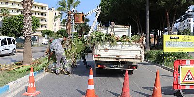 Alanya Belediyesi Park ve Bahçeler Müdürlüğü 7/24 sahada