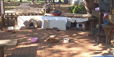 Alanya Belediyesi sokak hayvanlarını unutmadı