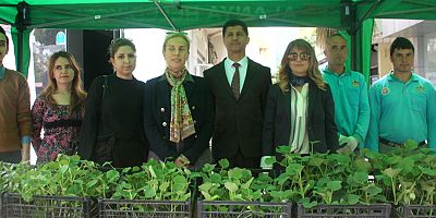 Alanya Belediyesi su kabağı fidesi dağıtmaya devam ediyor