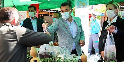 Alanya Belediyesi su kabağı fidesi dağıtmaya devam ediyor