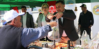 Alanya Belediyesi su kabağı fidesi dağıtmaya devam ediyor