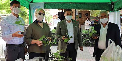 Alanya Belediyesi su kabağı ve lif kabağı fidesi dağıtıyor