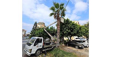 Alanya Belediyesi ve AEDAŞ'dan yangın riskine karşı önlem