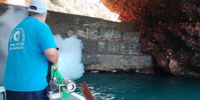 Alanya’da denizden sinekle mücadele