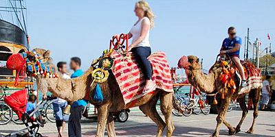Alanya'da devecilik faaliyetlerine son verildi