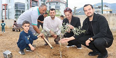 Alanya'da minik eller zeytin fidanlarını toprakla buluşturdu