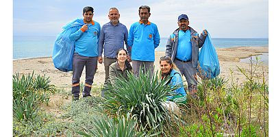 Alanya'da sahil temizliği: Kum zambakları ve caretta carettalar koruma altında