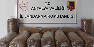 Alanya İlçesinde Kaçak Tütün Operasyonu