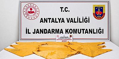 Alanya İlçesinde Uyuşturucu Operasyonu