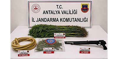Alanya ilçesinde uyuşturucu Operasyonu